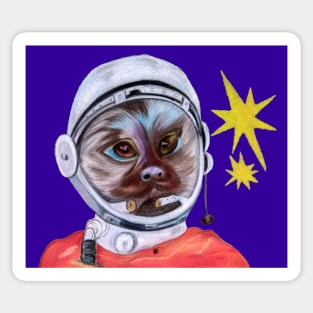 Monkey (Pygmy Marmoset) in the Space Sticker